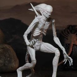 NECA Alien Covenant - Neomorph Alien Actionfigur -Ubisoft News Geschäft 2f1f838ce39c252a6bb8a25c74cdb0c17ce432ff8cb890f9c5f05565e7d171ac