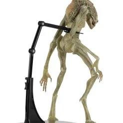 NECA Aliens - Deluxe Alien Resurrection Newborn Figur -Ubisoft News Geschäft 405b4bab202f295fdba211f834df8dc18a76235563f7f37b205107664c1ebded