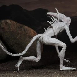 NECA Alien Covenant - Neomorph Alien Actionfigur -Ubisoft News Geschäft a84896002e6071e4aef4da450180fdf99b1afc8289a2ea23cdf3a78be35c65b1